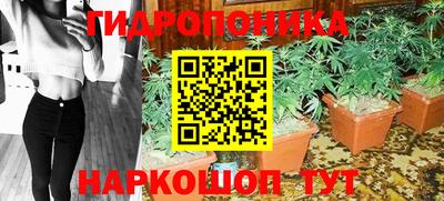 амф Краснознаменск
