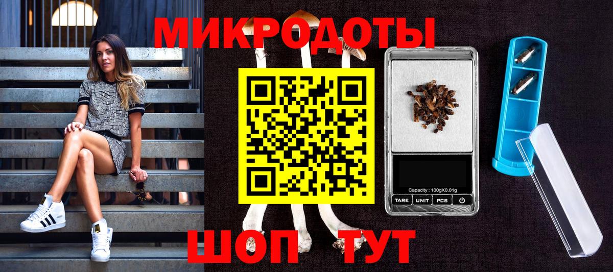 Псилоцибиновые грибы прущие грибы Кострома