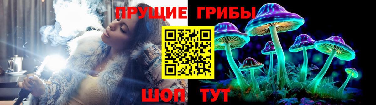 Кострома  Псилоцибиновые грибы GOLDEN TEACHER  Вход с VPN 